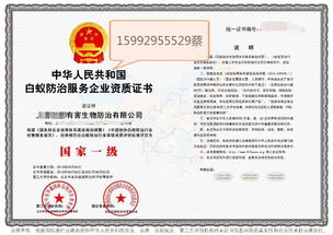 深圳教育咨詢服務(wù) 專業(yè)導(dǎo)航，助力學(xué)子與家庭的教育成長之路